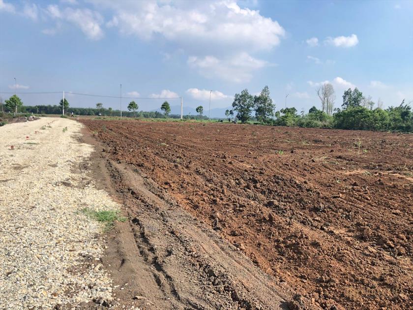 Construction progress of Phu My Avenue residential project