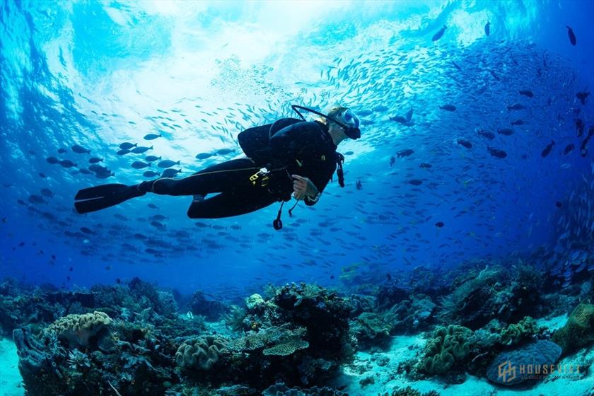 Dự án căn hộ Takashi Ocean Suite Kỳ Co - Bảng giá mới nhất 2021