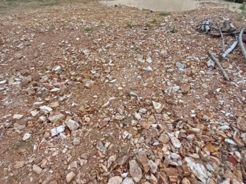 CẦN BÁN NHANH LÔ ĐẤT 3 MẶT GIÁP SÔNG TẠI DIÊN LẠC, DIÊN KHÁNH GIÁ CHỈ 2 TỶ ĐỒNG