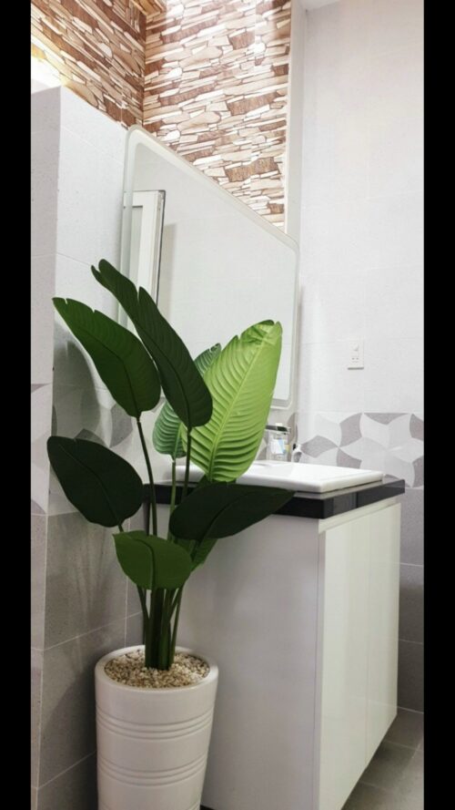 CẦN BÁN NHÀ Ở HOA LƯ, PHƯỚC TIẾN, NHA TRANG - Hình ảnh 6