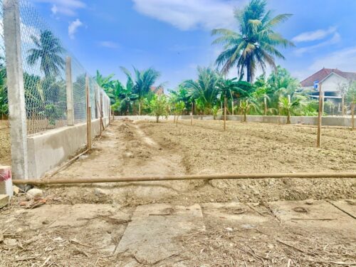 Chính Chủ cần bán đất mặt tiền đường Rọc Chu, Diên Sơn, Diên Khánh