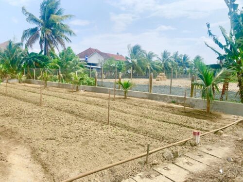 Chính Chủ cần bán đất mặt tiền đường Rọc Chu, Diên Sơn, Diên Khánh - Hình ảnh 2