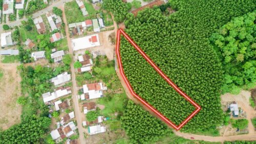 CẦN BÁN NHANH LÔ ĐẤT TẠI DIÊN XUÂN, DIÊN KHÁNH, KHÁNH HÒA - Hình ảnh 4