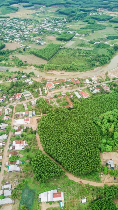 CẦN BÁN NHANH LÔ ĐẤT TẠI DIÊN XUÂN, DIÊN KHÁNH, KHÁNH HÒA