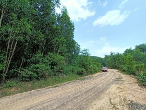 CẦN BÁN NHANH LÔ ĐẤT TẠI DIÊN XUÂN, DIÊN KHÁNH, KHÁNH HÒA - Hình ảnh 3