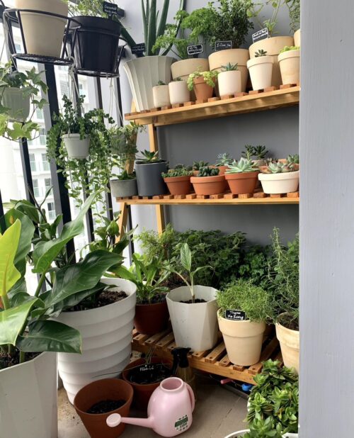 Căn hộ D’ Qua Nha Trang tầng 19 thoáng mát - Hình ảnh 19